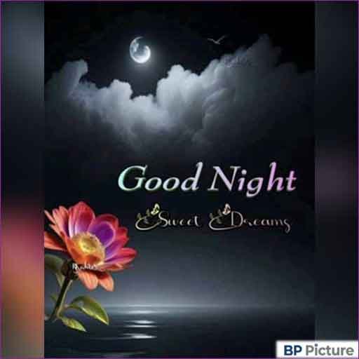 Good Night Photo