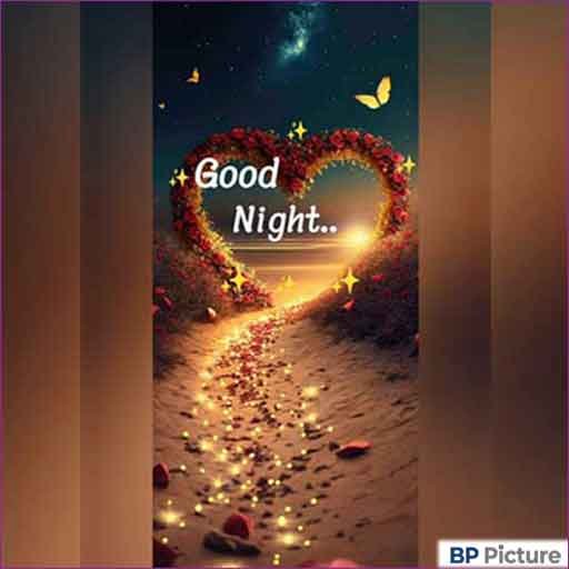 Good Night Photo