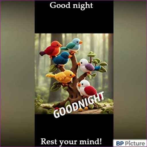 Good Night Photo