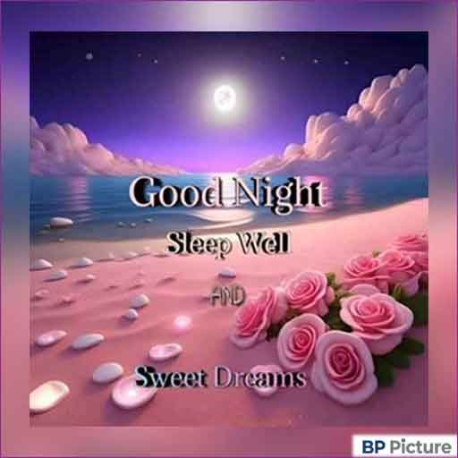 Good Night Pic