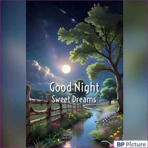 Good Night Pic