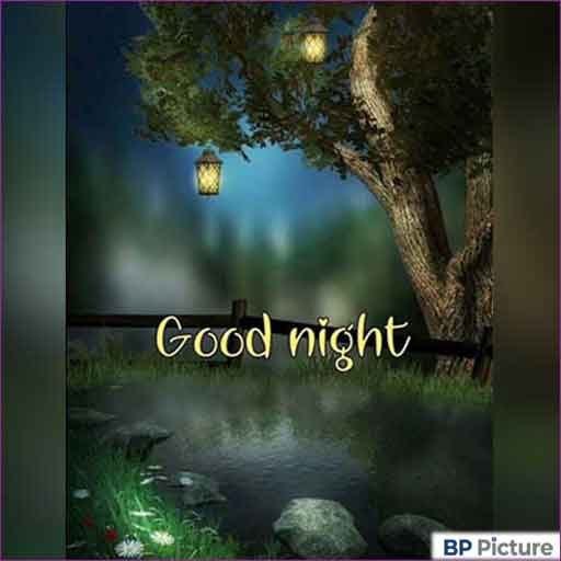 Good Night Pic