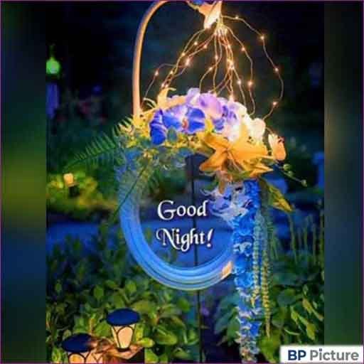 Good Night Pic