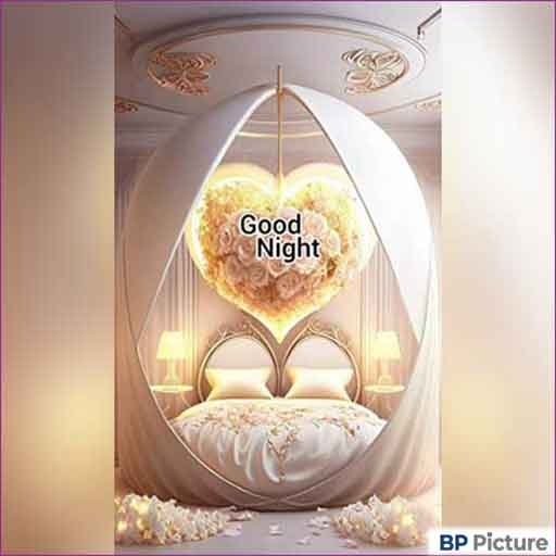 Good Night Pic