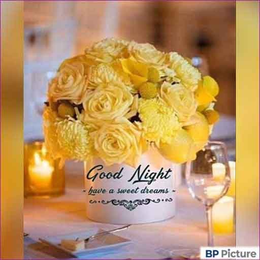 Good Night Pic