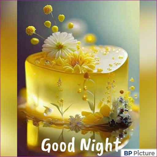 Good Night Pic