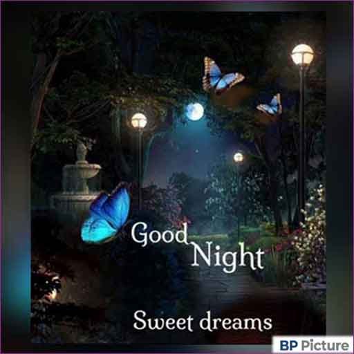 Good Night Pic