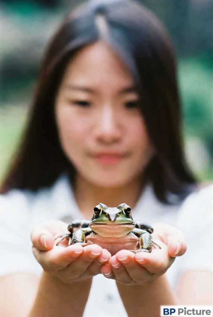 One Girl One Frog Image