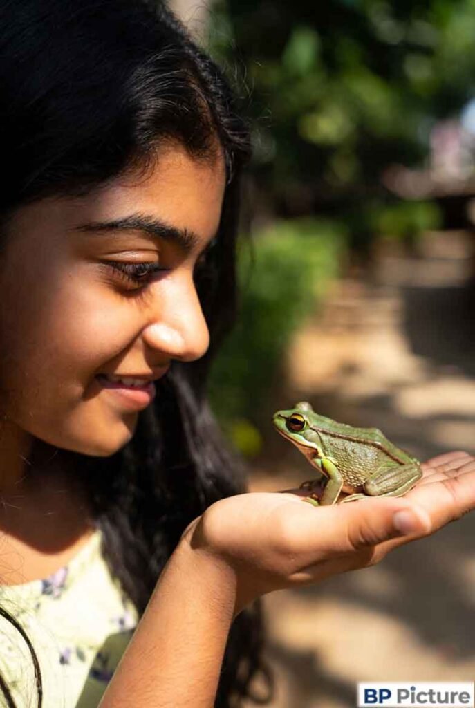 One Girl One Frog Image