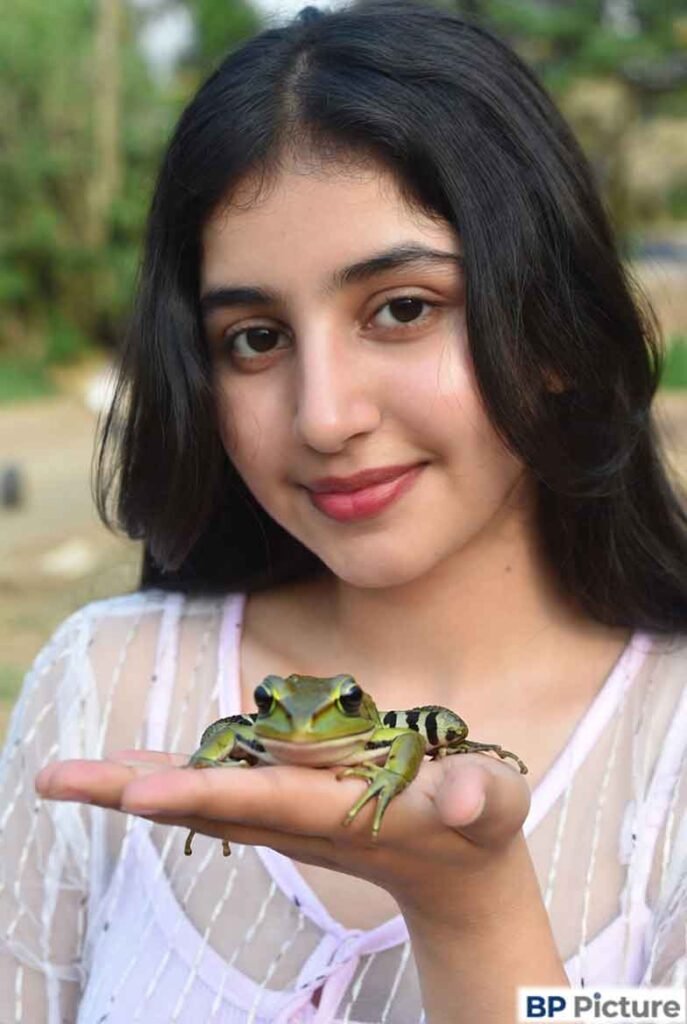 One Girl One Frog Image