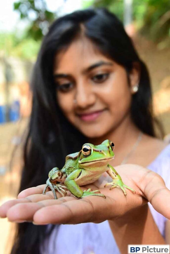 One Girl One Frog Photo