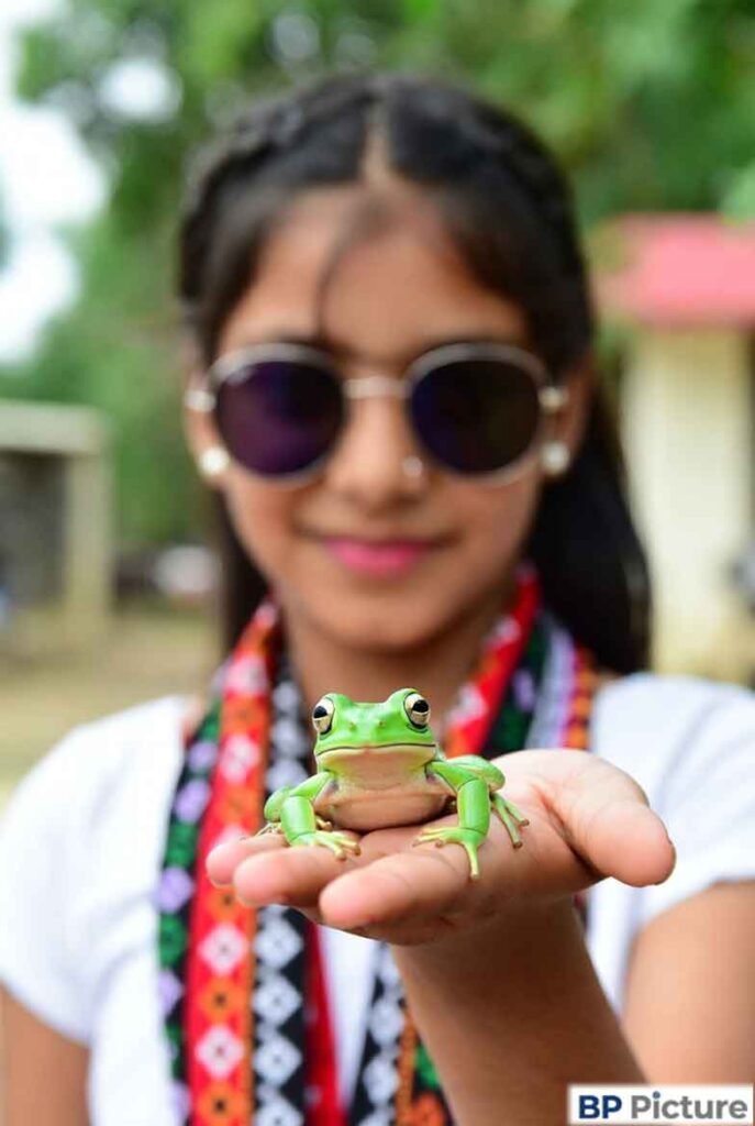 One Girl One Frog Photo