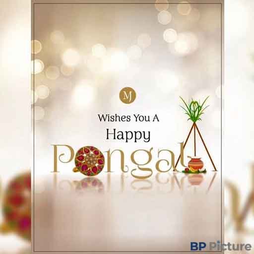 Happy Pongal Images