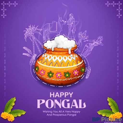 Happy Pongal Images