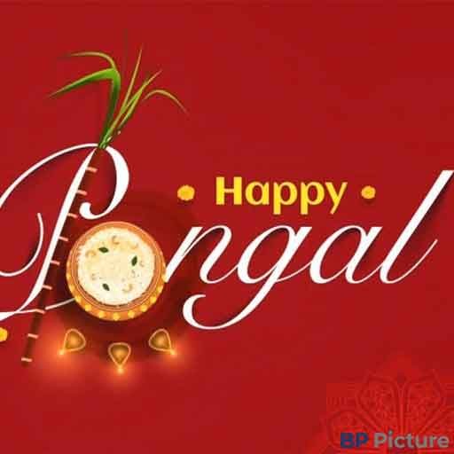 Happy Pongal Images