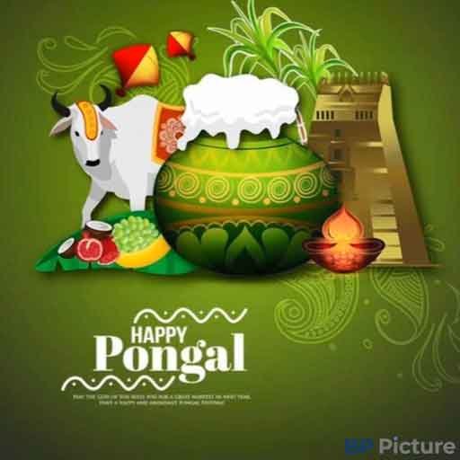 Happy Pongal Images