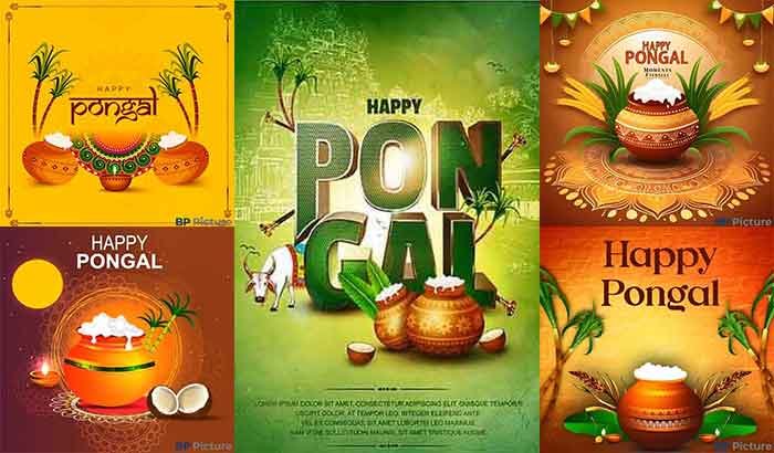 Happy Pongal Images