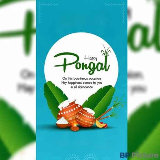 Pongal Dp For Whatsapp
