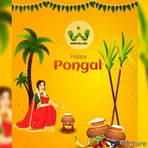 Pongal Dp For Whatsapp