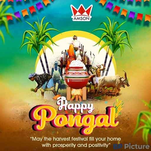 Pongal Dp For Whatsapp