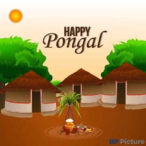 Pongal Dp For Whatsapp