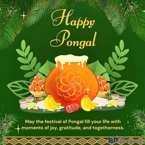 Pongal Dp For Whatsapp