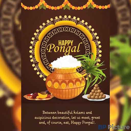 Pongal Dp For Whatsapp