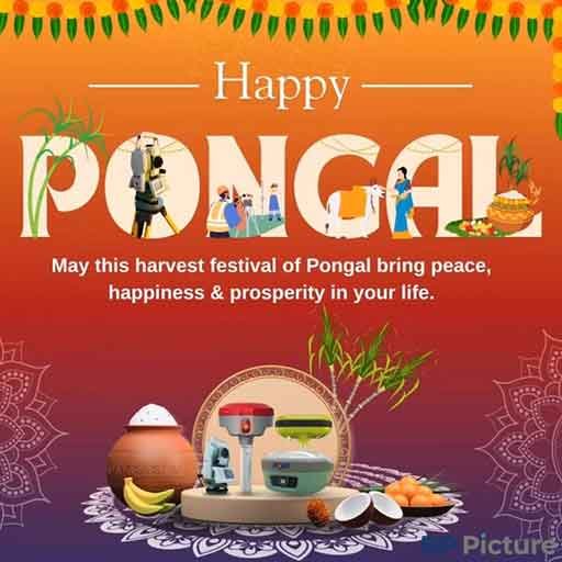 Pongal Dp For Whatsapp