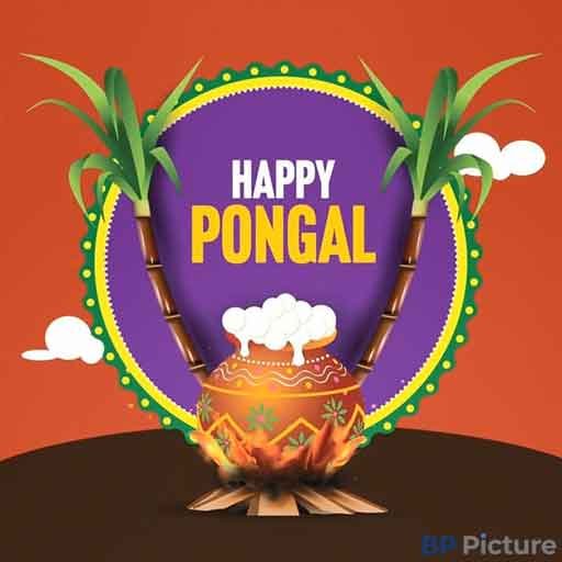 Pongal Festival Image
