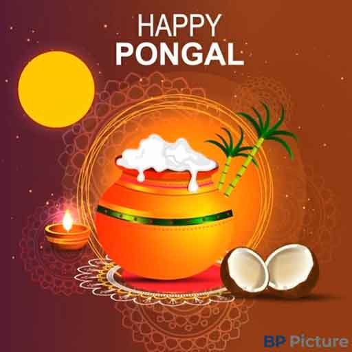 Pongal Festival Image