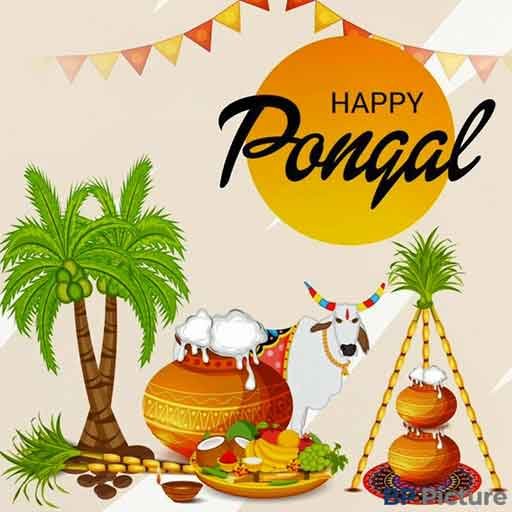 Pongal Festival Image