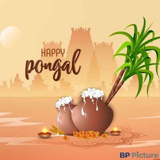 Pongal Festival Image