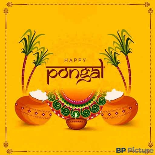 Pongal Festival Image