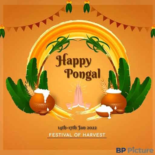 Pongal Rangoli Kolam New Design