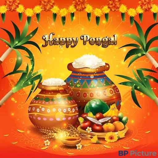 Pongal Rangoli Kolam New Design