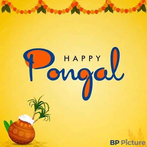 Pongal Rangoli Kolam New Design