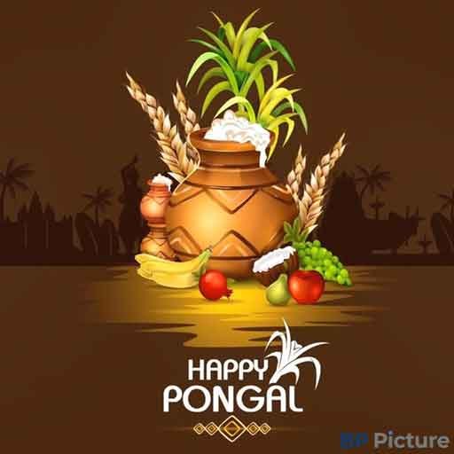 Pongal Rangoli Kolam New Design