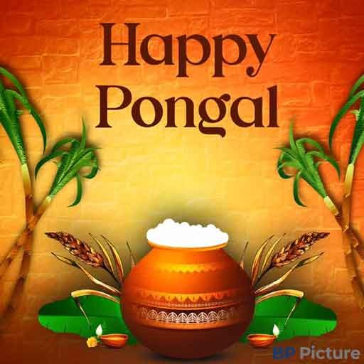 Pongal Rangoli Kolam New Design